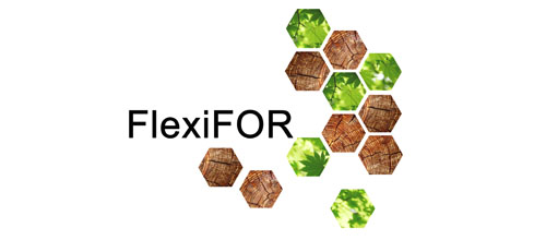 FlexiFor (лого)